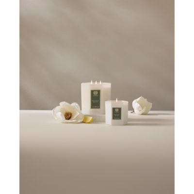 Magnolia Bloom Fragrance Collection