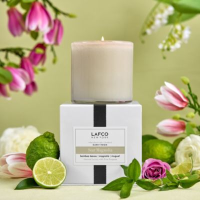 Star Magnolia Signature Candle, 15.5 oz.