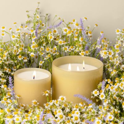 Chamomile Lavender 3-Wick Candle, 30 oz.