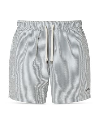 Regular Fit Stripe Swim Trunks