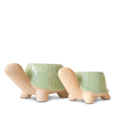 2 Piece Turtle Planter Bundle