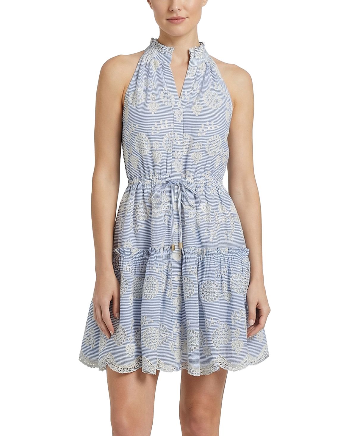 Change of Scenery Charlotte Sleeveless Eyelet Shirt Dress