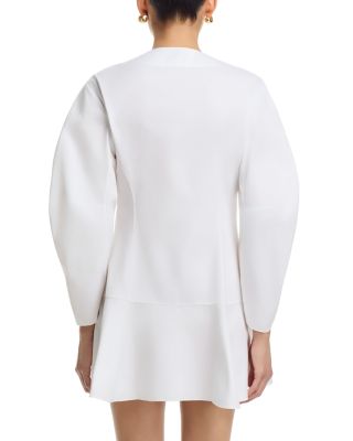 Balloon Sleeve Dress