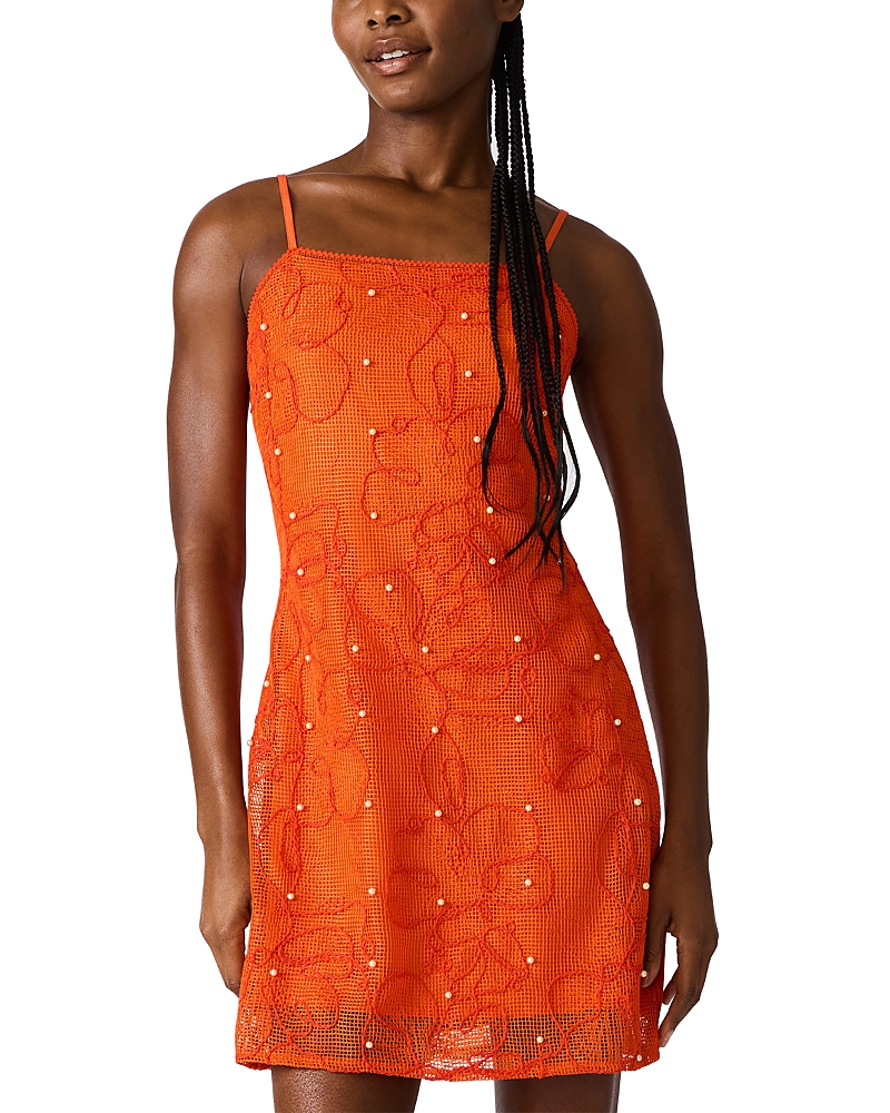 Steve Madden Maureene Dress