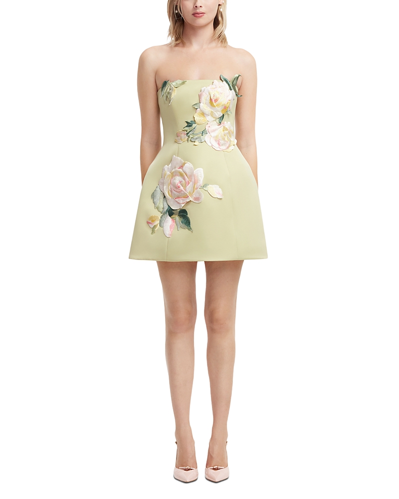 Leo Lin Roselle Embroidered Bustier Mini Dress