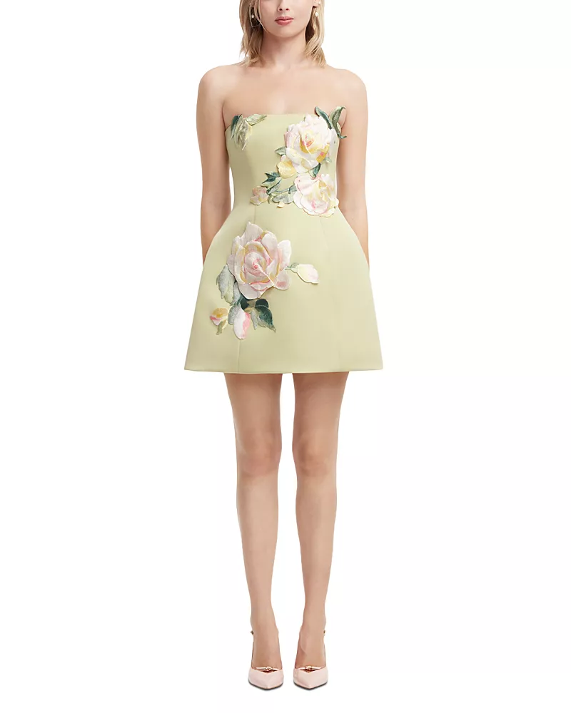 Leo Lin Roselle Embroidered Bustier Mini Dress