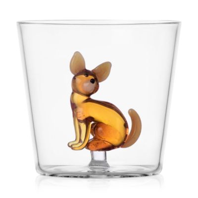 Dogs Tumbler - Chihuahua