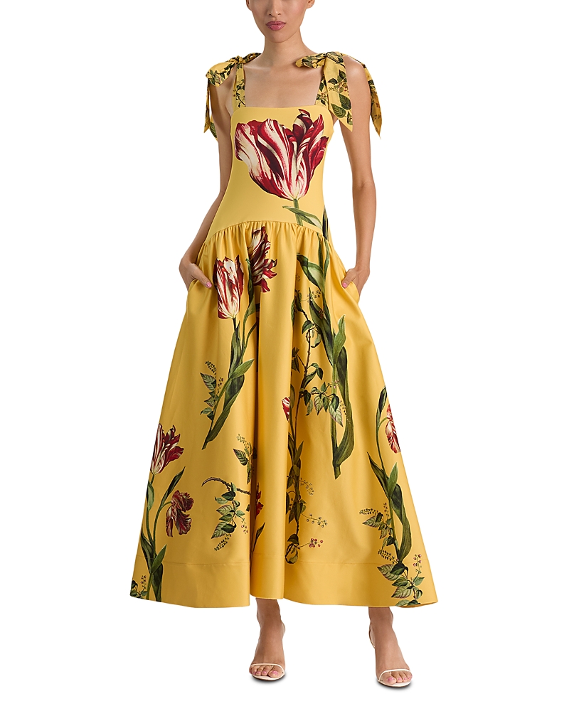 Alice and Olivia Oriana Tie Strap Drop Waist Full Midi Dress