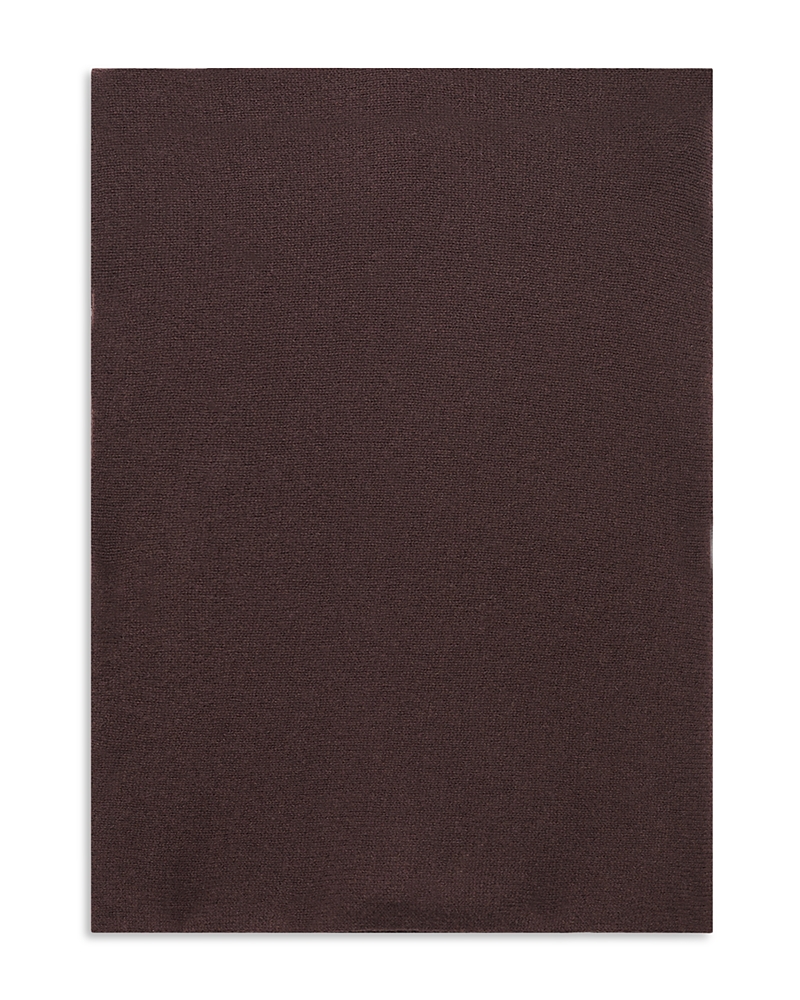 Gerard Darel Stee Cashmere Scarf In Brown