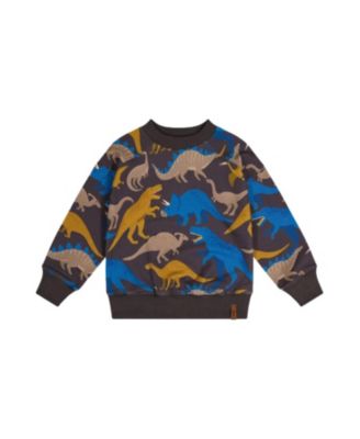 Boys' Crew Neck Dinosaur Fleece Sweatshirt - Little Kid, Big Kid