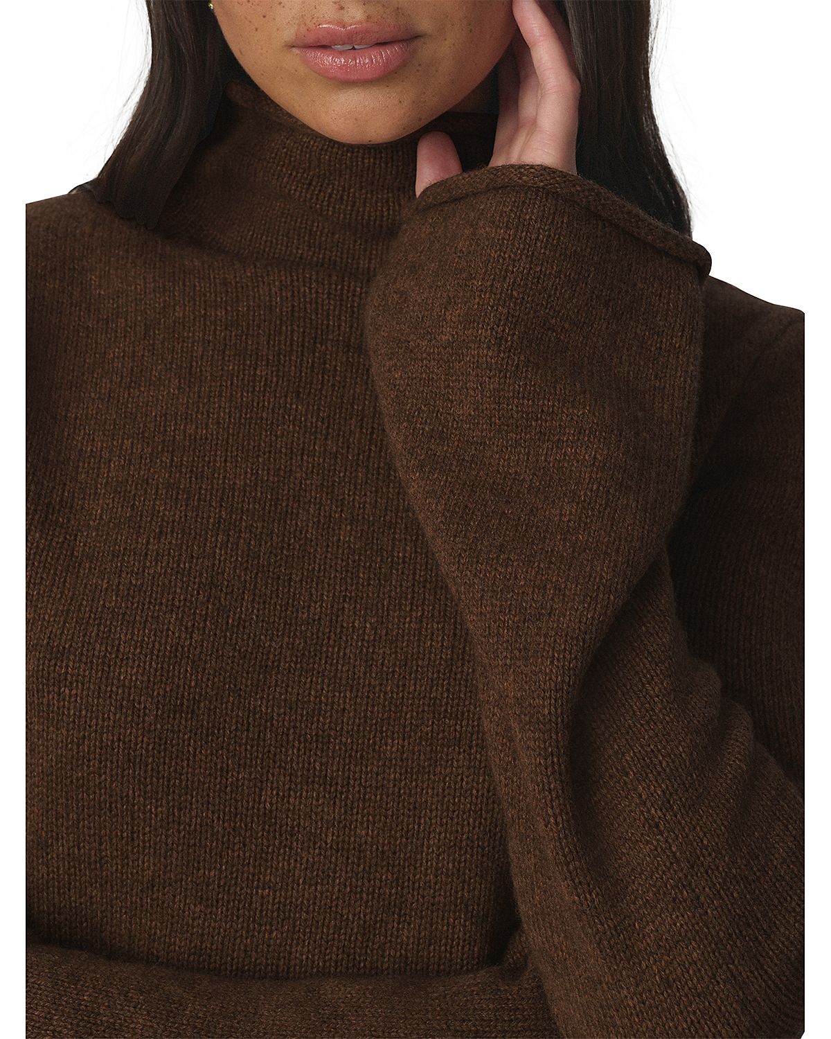 Joe's Jeans The Jane Roll Neck Sweater