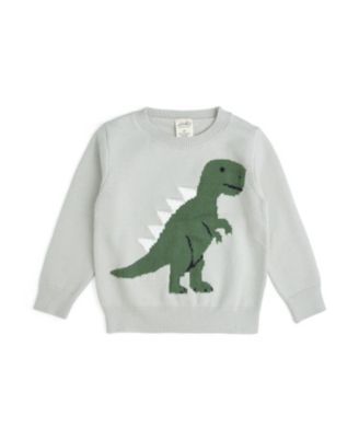 Boys' Dinosaur Sweater - Big Kid