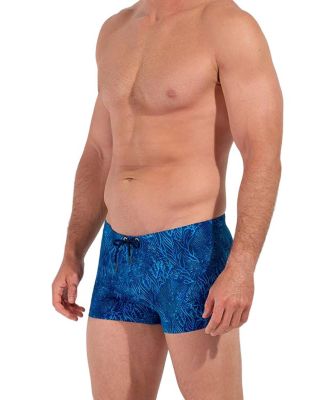 Panarea 2.5" Swim Shorts