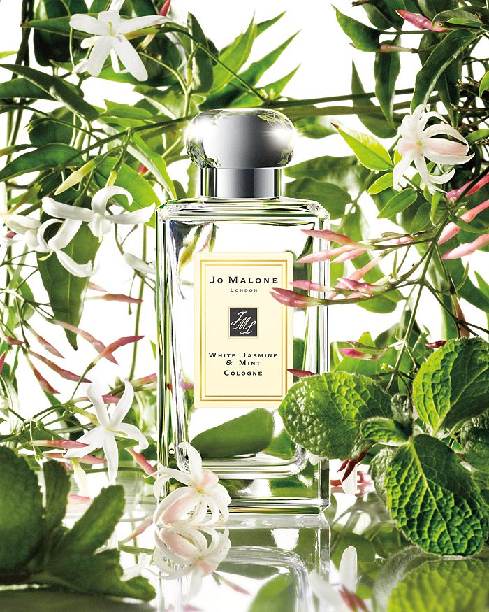 Jo malone white 2025 jasmine & mint cologne