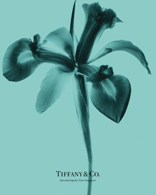 Tiffany & Co. Eau de Parfum セット Tiffany & Co. 3-Piece Eau de Parfum Gift Set | Bloomingdale's