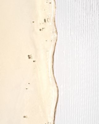 Curl Charisma Rice Amino + Quinoa Frizz Control Gel 5.5 oz.