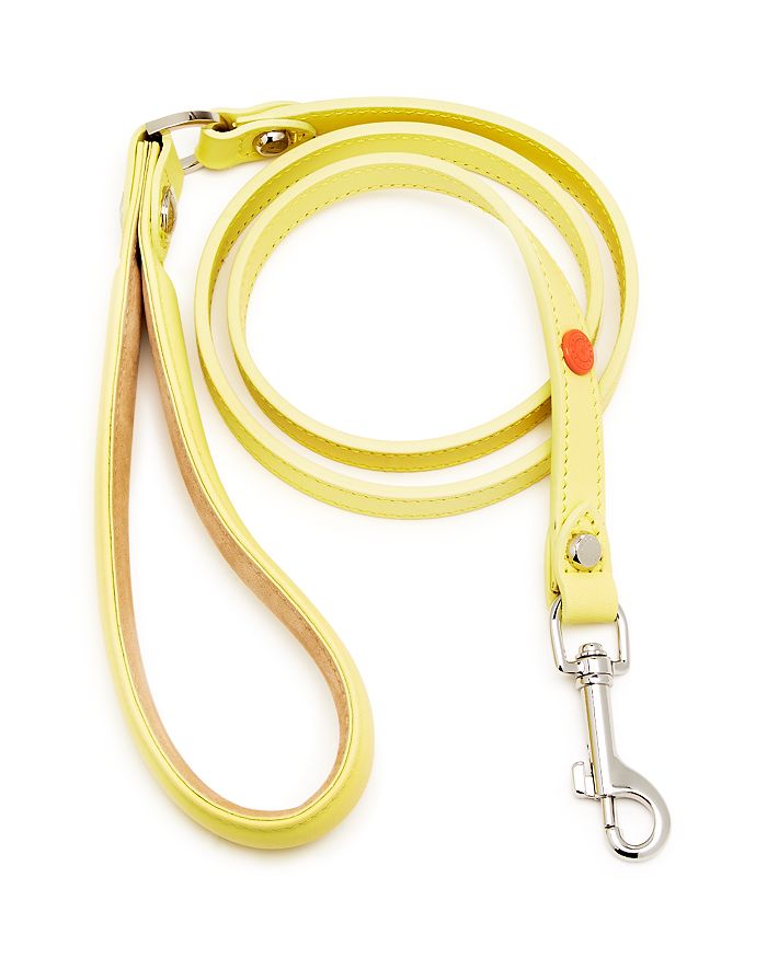 Longchamp X Clo'e Floirat Leather Dog Leash In Yellow/gunmetal