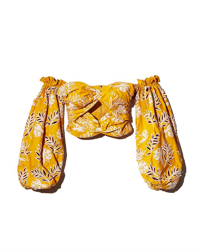Amur Off-the-shoulder Floral Embroidered Cropped Top In Turmeric