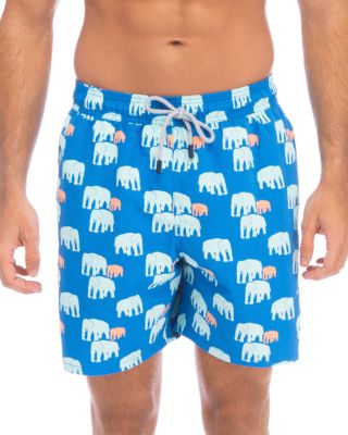 tom & teddy swim trunks