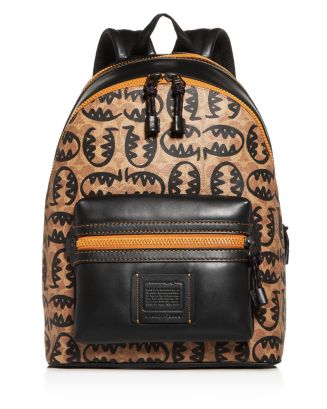 10381727_fpx.tif?$filterlrg$&