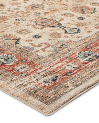 Spice Market Koyna Area Rug, 8' x 11'