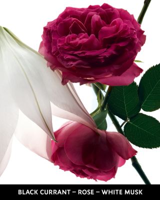 Mon Paris Intens&eacute;ment Eau de Parfum 3 oz.