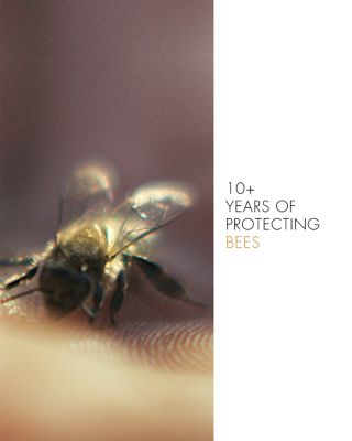 Abeille Royale Fortifying Lotion 5 oz.