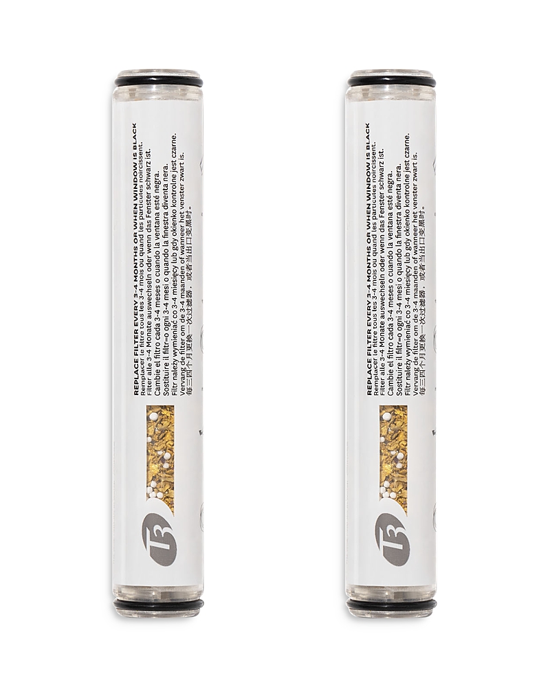 T3 Source 2-pack Hand-held Replacement Filter