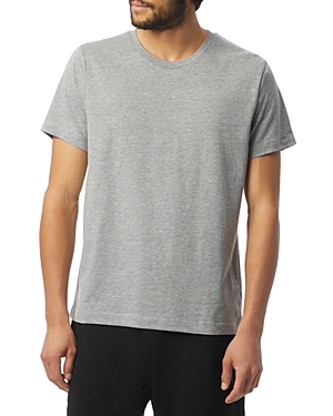 Alternative Eco Cozy Tee In Heather Grey