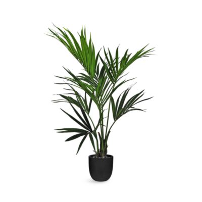 Le Present Kentia Palm Faux Plant Arrangement