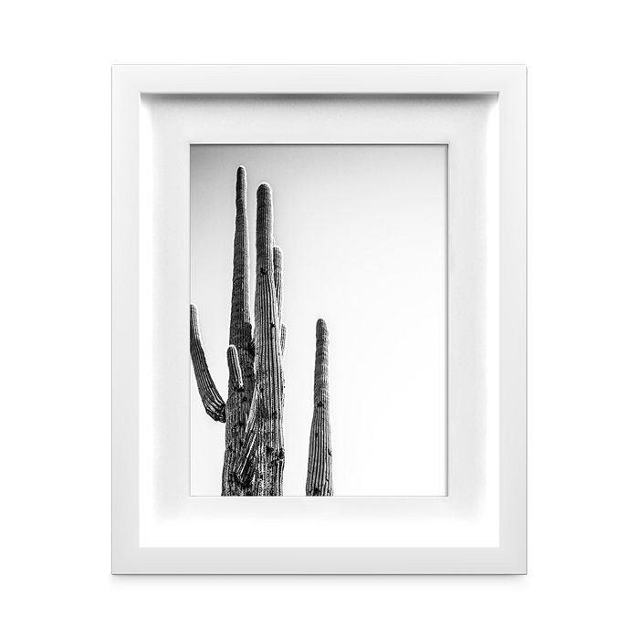 Whom Home Contrasting Cactus Wall Art Collection Bloomingdale's