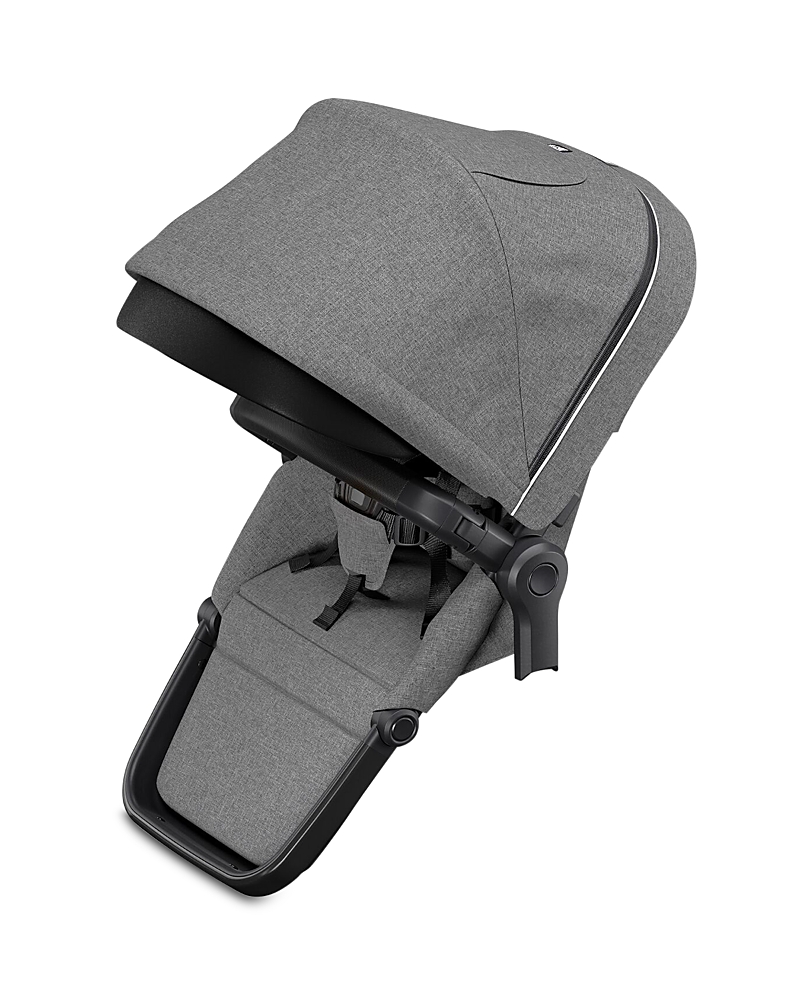 Thule Sleek Sibling Seat