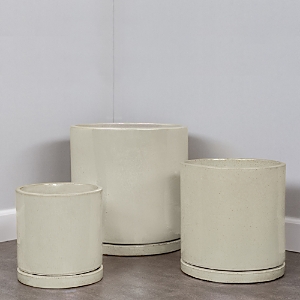 Campania International I/o Series Cylinder Planter, Set Of 3 In Cream