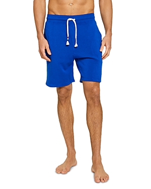 Sol Angeles Waves Shorts In Cobalt