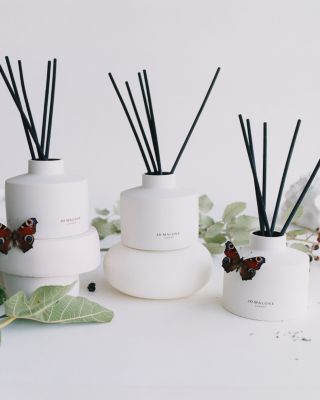 Wild Berry & Bramble Diffuser 11.8 oz.