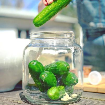 Pickle Making Kit