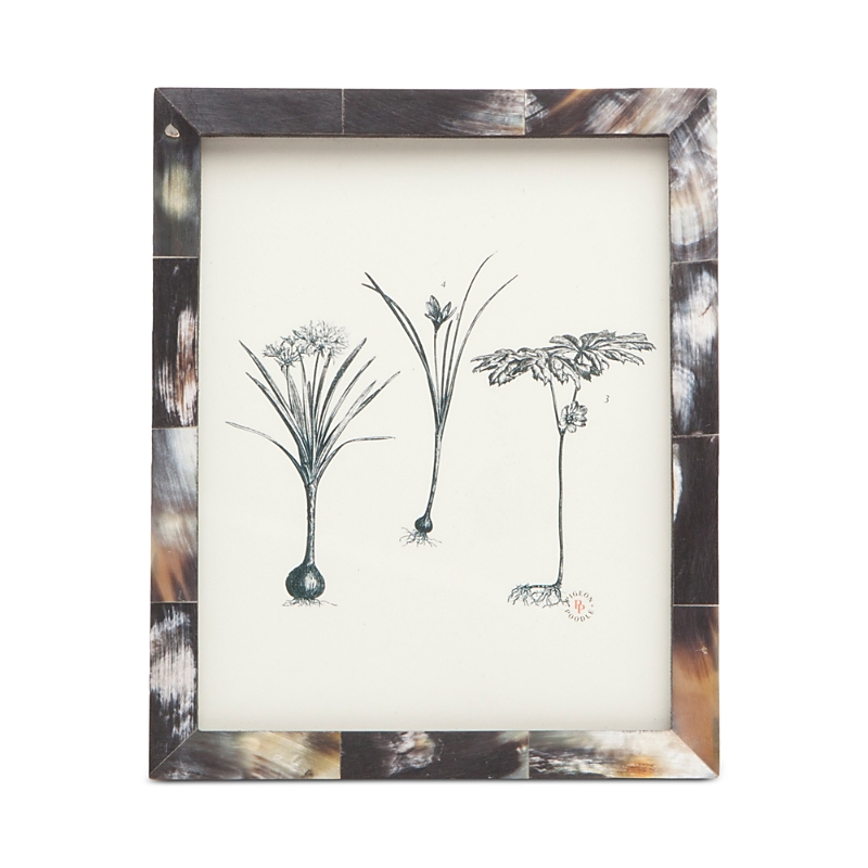 PIGEON & POODLE ESSEN HORN FRAME, 8 X 10 PP001715