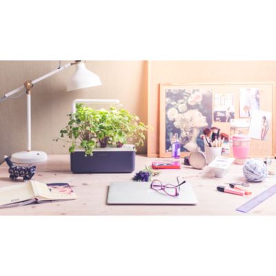 Smart Garden 3 & Plant Pods Kit