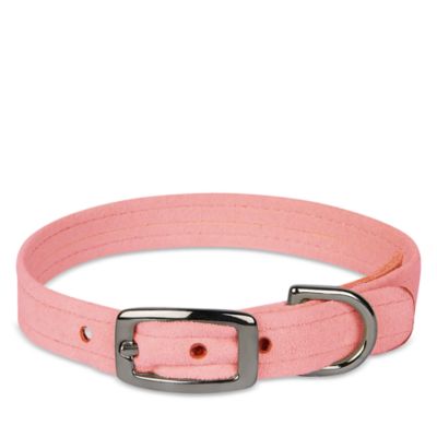 Plain Dog Collar