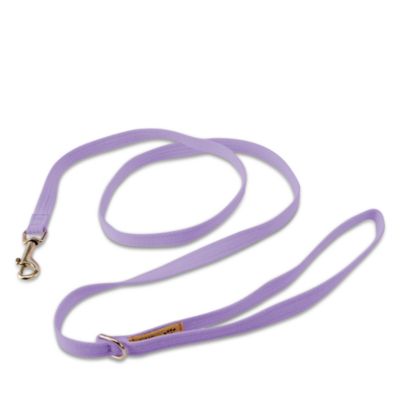 Plain Leash