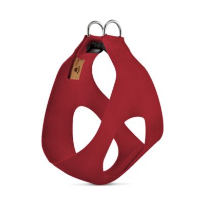 Plain Step In Harness