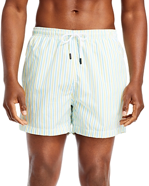 SOLID & STRIPED THE CLASSIC PINSTRIPED SWIM TRUNKS