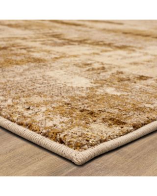 Vanguard Ephemeral Area Rug Collection
