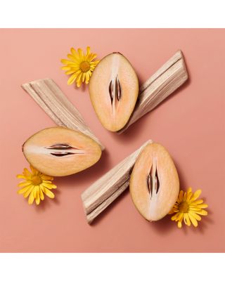 Herm&amp;egrave;sistible Infused Lip Care Oil 