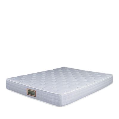 Asteria - Essential Trundle Mattress - Exclusive