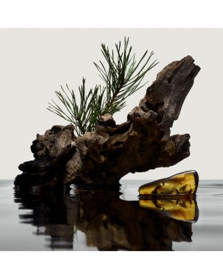 Hero Eau de Parfum 3.3 oz.