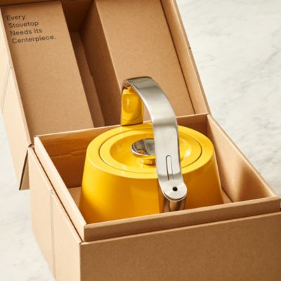 Stainless Steel Tea Kettle