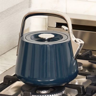 Stainless Steel Tea Kettle