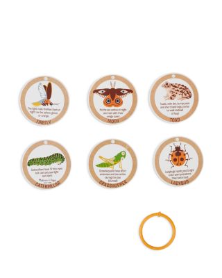 Terrarium Observations Play Set - Ages 4+