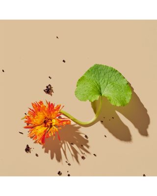 Superkind Daily Essentials Kit ($157 value)